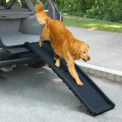 AFP Travel Dog Bilrampe