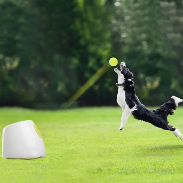 All for Paws HyperFetch Maxi Ballkaster