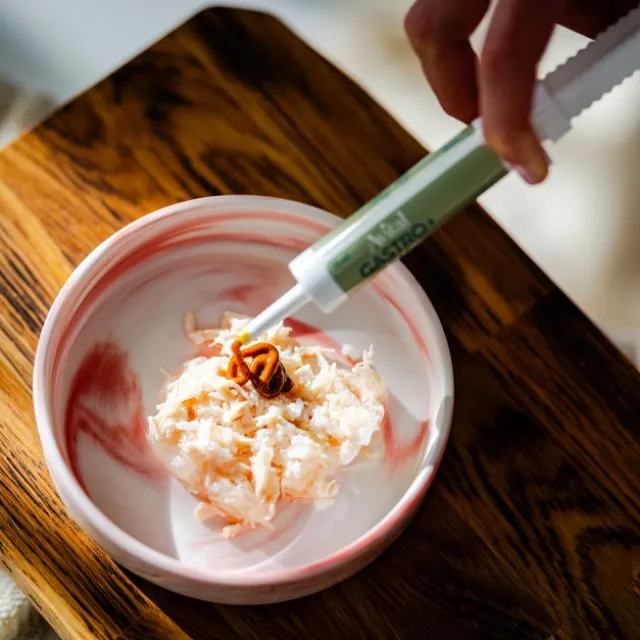 Avital Gastro+ for katter