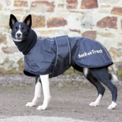 Back on Track Hundedekken Whippet