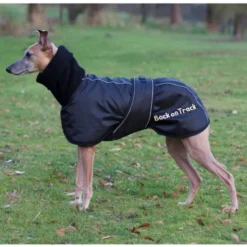 Back on Track Hundedekken Whippet