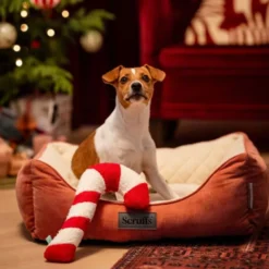 Bark-a-Boo Tufflove Holiday Polkagris 32 cm