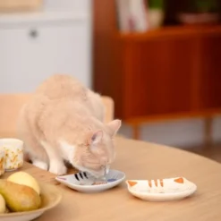 Basic Cat Face katteskål, beige/oransje
