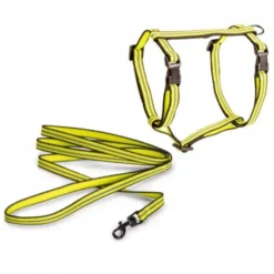 Basic Cat Reflective Kattesele + Kobbel