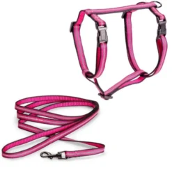 Basic Cat Reflective Kattesele + Kobbel