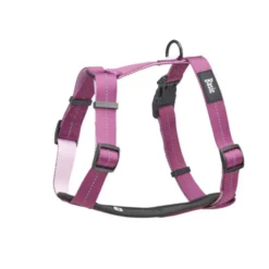 Basic Fresh Y-sele Lilla