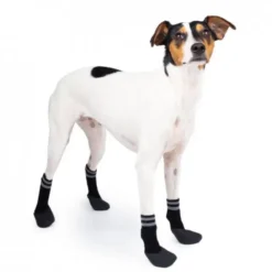 Basic Paws potesokker 4pcs sort
