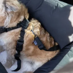 Basic Travel Hundeseng for bilsete