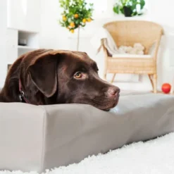 Bia Bed Original Hundeseng Beige/Grå
