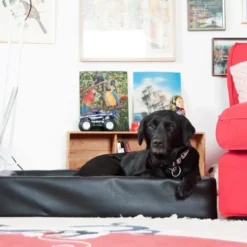 Bia Bed Original Hundeseng Sort