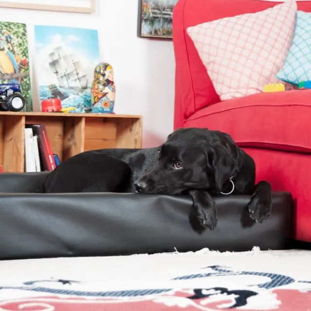 Bia Bed Original Hundeseng Sort