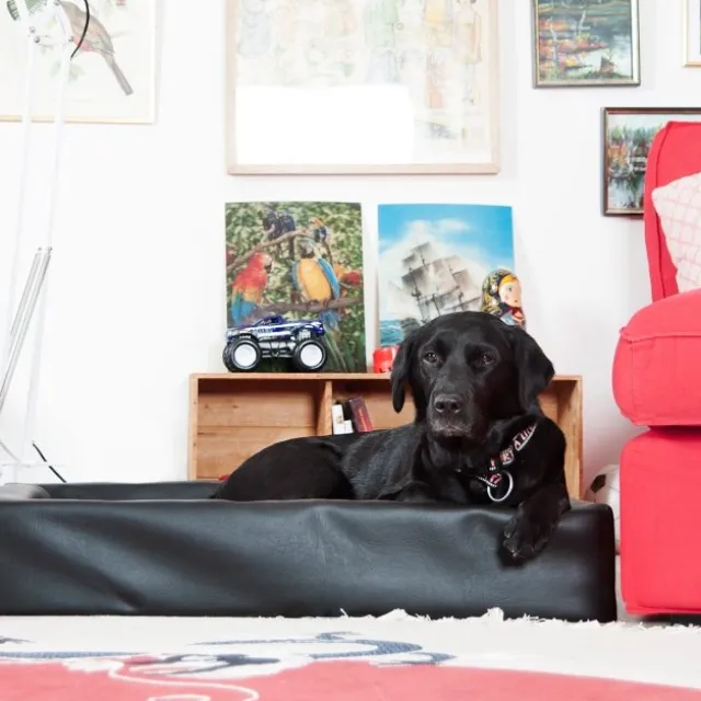 Bia Bed Original Hundeseng Sort