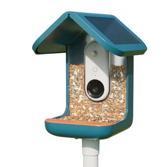 Birdbuddy Fôrautomat med Kamera Blå