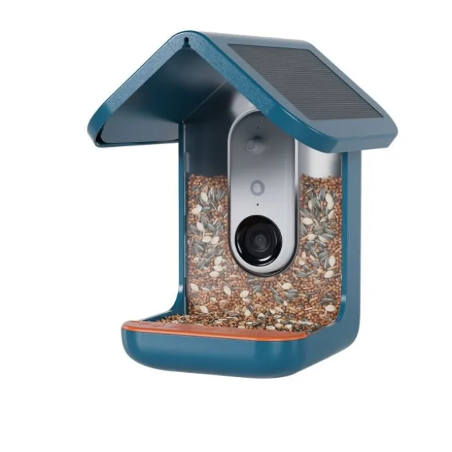 Birdbuddy Fôrautomat med Kamera Blå