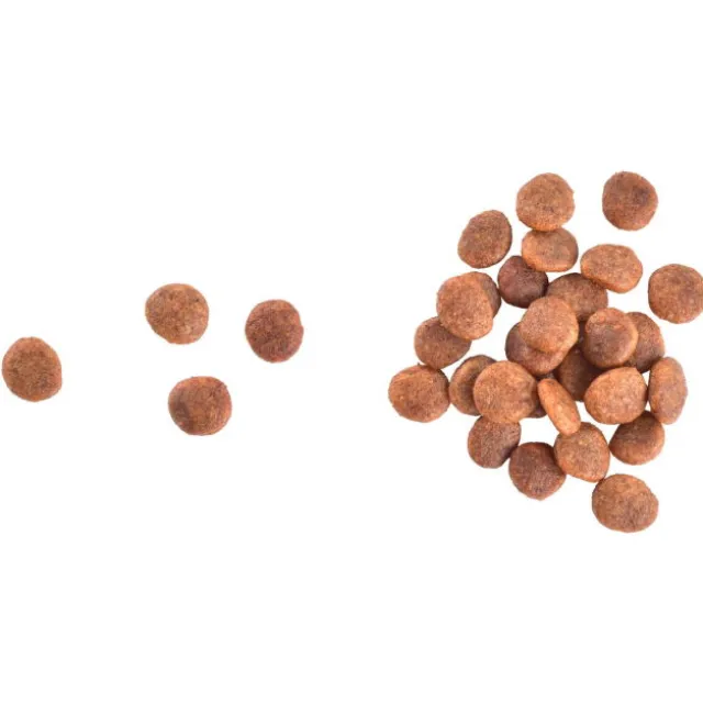 Brit Care Cat Grain Free Large Cats Power & Vitality