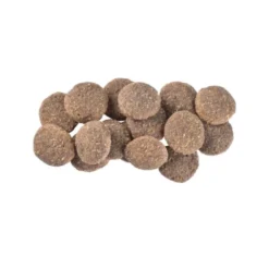 Brit Care Dog Sustainable Senior Chicken & Insect