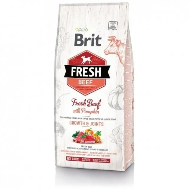 Brit Fresh Beef with Pumpkin Puppy Large
