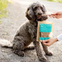 Buddy Dental Chew Duck 100g