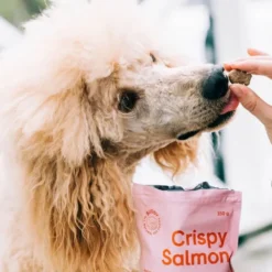 Buddy Petfoods godbiter til hund Laks 150 g