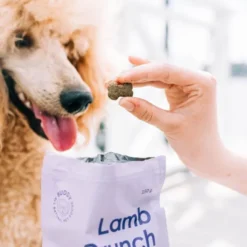 Buddy Petfoods Lamb Crunch godbiter til hund 150 g