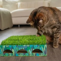 Catstages Grass Patch Hunting Box