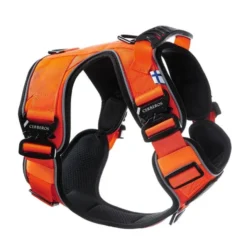 Cerberos Active Rescue Hundesele Orange