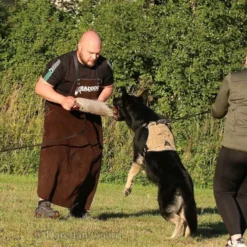 Cerberos Tactical Hundesele Beige