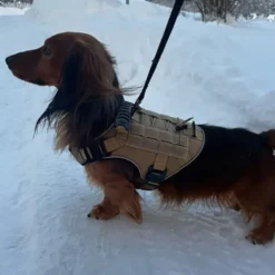 Cerberos Tactical Hundesele Beige