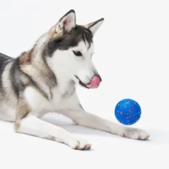 Cheerble Wicked Air Interaktiv Hundeball