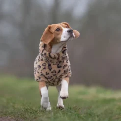 51 Degrees North Turtle Teddy hundegenser, leopard