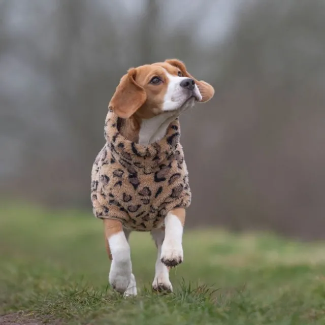 51 Degrees North Turtle Teddy hundegenser, leopard