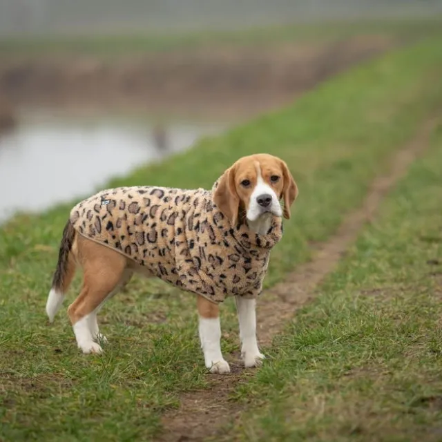 51 Degrees North Turtle Teddy hundegenser, leopard