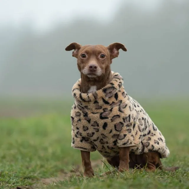51 Degrees North Turtle Teddy hundegenser, leopard