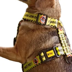 Dingo Gear Do Not Pet Hundesele