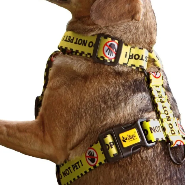 Dingo Gear Do Not Pet Hundesele
