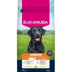Eukanuba Junior Large Breed