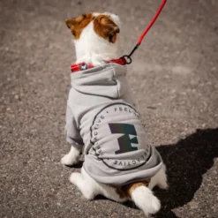 Feel Active Bromma hettegenser til hund grå