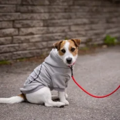 Feel Active Bromma hettegenser til hund grå