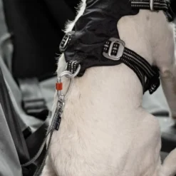 Feel Active heavy duty bilbelte til hund