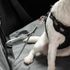 Feel Active heavy duty bilbelte til hund