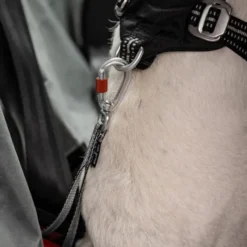 Feel Active heavy duty bilbelte til hund