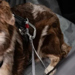 Feel Active heavy duty bilbelte til hund