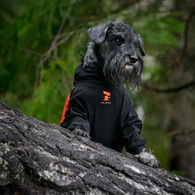Feel Active Helsingborg Hundoverall Refleks Svart/Orange