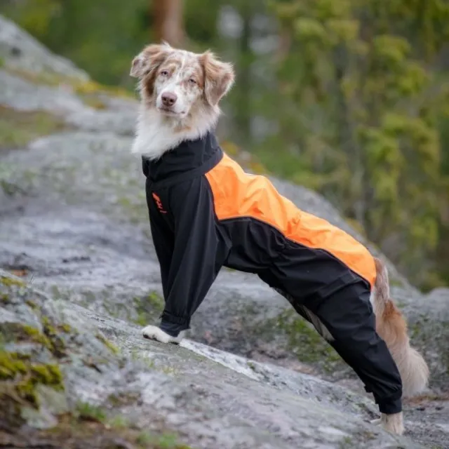 Feel Active Helsingborg Hundoverall Refleks Svart/Orange