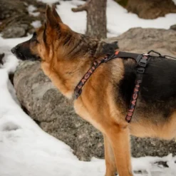 Feel Active Outdoor Hundsele med Lomme, Svart
