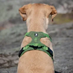 Feel Active Training harness Forest Green