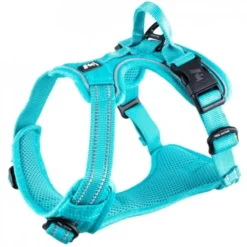 Feel Active Training harness turkis
