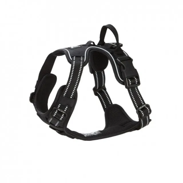 Feel Active Training harness svart
