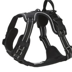 Feel Active Training harness svart
