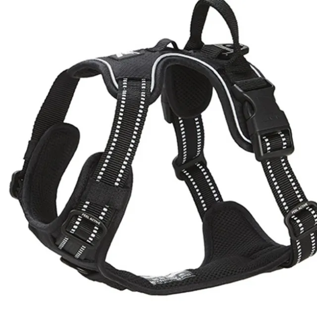 Feel Active Training harness svart
